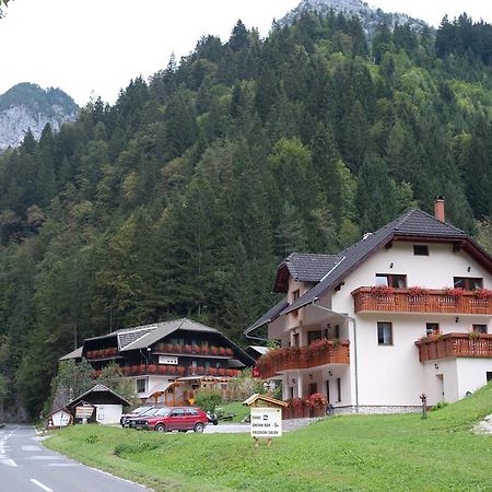 Ferienwohnung Prenocisca Valentina Solčava Exterior foto
