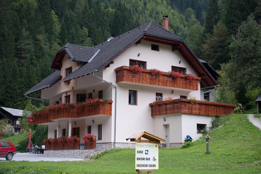 Ferienwohnung Prenocisca Valentina Solčava Exterior foto
