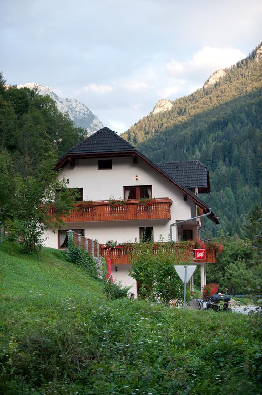 Ferienwohnung Prenocisca Valentina Solčava Exterior foto