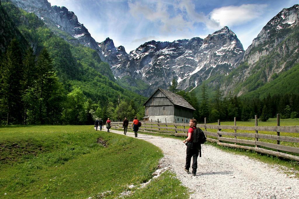 Ferienwohnung Prenocisca Valentina Solčava Exterior foto