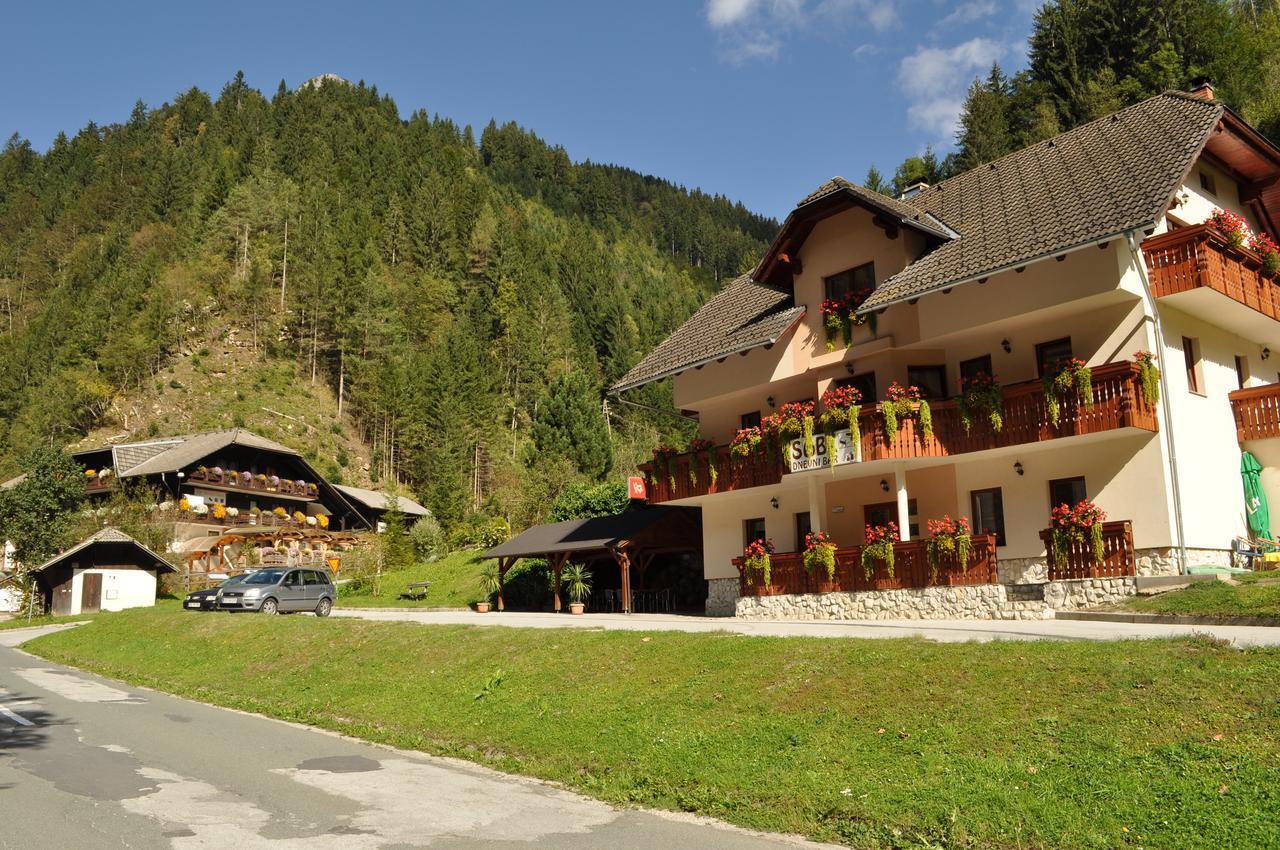 Ferienwohnung Prenocisca Valentina Solčava Exterior foto
